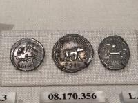 Coins with Animals